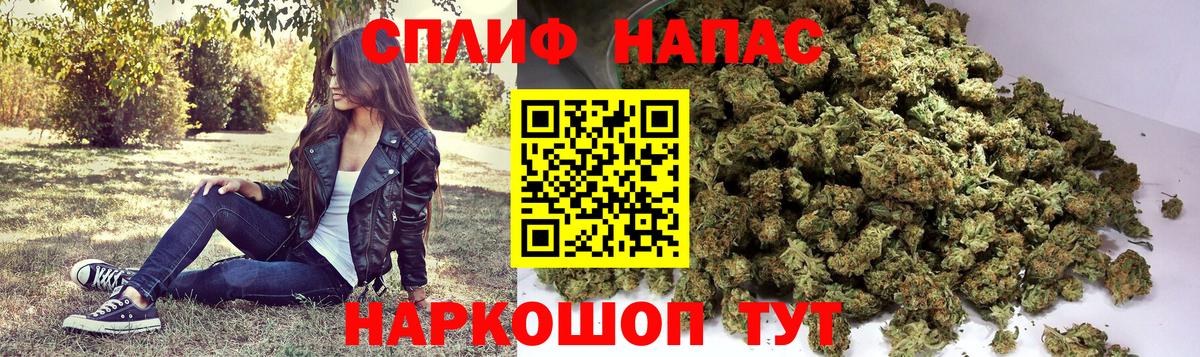 МАРИХУАНА семена Ефремов
